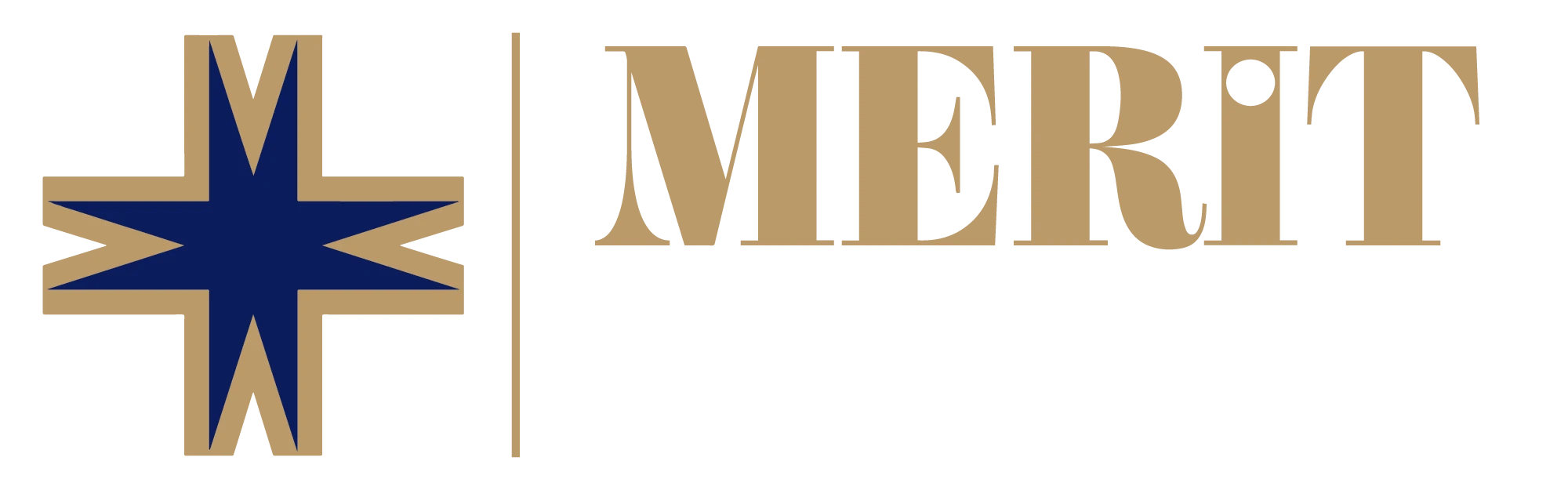 Meritpremium