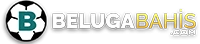 Beluga Giriş